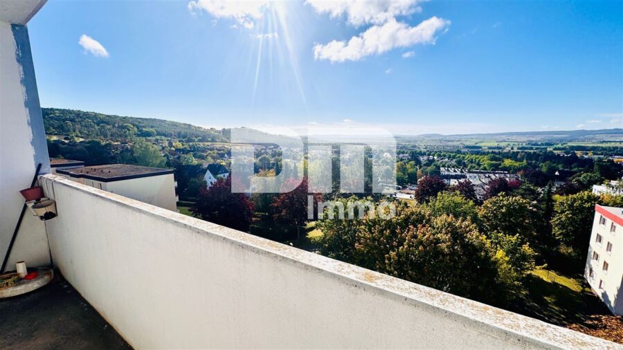 Wohnungspaket 3 Zimmer + Apartment mit Balkon, Panoramablick in Traumlage - WE1 Balkon / Panoramablick